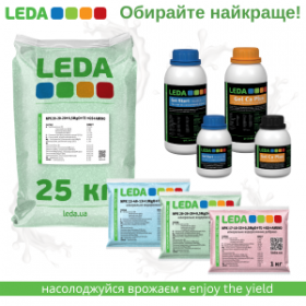 Баннер LEDA