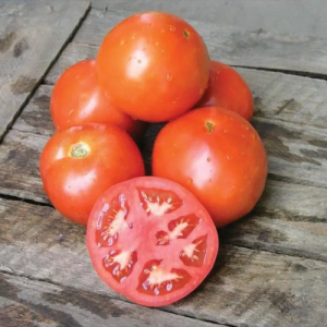 Ламантін F1 (1000 нас.) насіння томату Nunhems