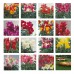 Антиринум (Львиный зев) Флора Шоуэрс F1/Floral Showers F1, (1000 сем.) Sakata Flowers 