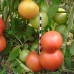 Вано F1 (5 г) насіння томата Елітний Ряд