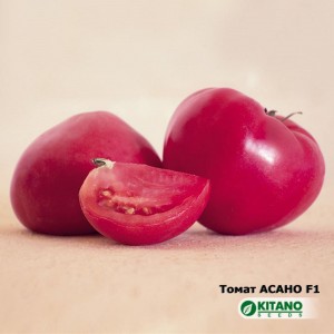 Асано (KS-38) F1, 500 нас. насіння томату Kitano