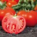 Камі (KS 898) F1 (500 нас.) насіння томата Kitano