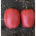 Конго F1 (250 нас.) насіння томату Clause