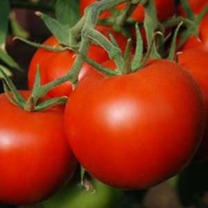Ірішка F1 (1 г) насіння томату Елітний Ряд