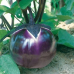 Флоренция (10 г) семена баклажана Hortus Флоренция (10 г) семена баклажана Hortus