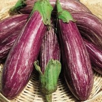 Цаконики (10 г) семена баклажана полосатого Hortus