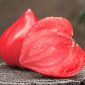 Массон F1 (250 сем.) насіння томату Clause