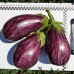 Рико F1 (100 сем.) семена полосатого баклажана Spark Seeds