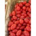 Санмино F1, (2500 сем.) семена томата Syngenta