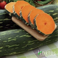 Лунга Пієна ді Наполі (100 г) насіння гарбуза Hortus