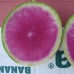 Ред Мит (100 г) семена японской редьки Takii Seeds