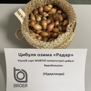 Радар (Radar) лук севок, 1 кг