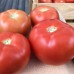 Бесуто F1 (250 нас.) насіння томату Seminis