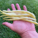 Фруидор (500 г) семена спаржевой фасоли Clause