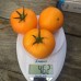 Еллоу Болл F1 (250 сем.) семена томата Spark Seeds