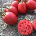 HM 5900 F1 (5000 сем.) семена томата Clause HM 5900 F1 (5000 сем.) семена томата Clause