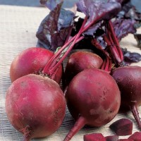 Детройт (500 г) семена свеклы Hazera Genetics