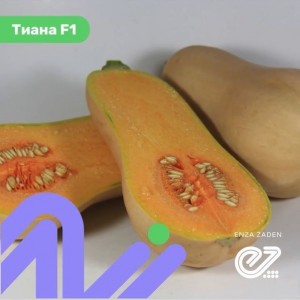 Тиана F1 (500 сем.) семена тыквы Enza Zaden