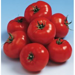 Айша (Аїша) F1 - насіння детермінантного томату