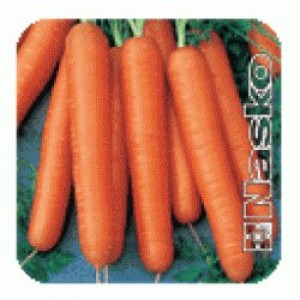 Насіння моркви Ассоль