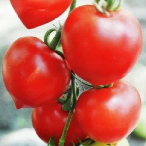 Малинова крапель F1 (1 г) насіння томату Елітний ряд