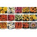 Насіння квітів Газанія Кісс / Kiss (500 нас.) Syngenta Flowers