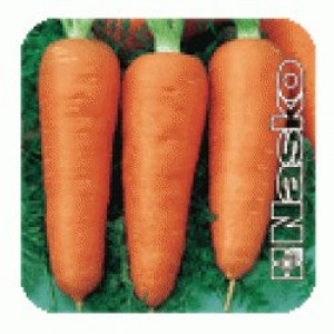 Насіння моркви Карнавал