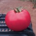 Пінк Кристал F1 (250 нас.) насіння томату Clause