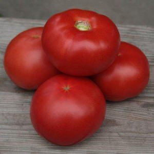 Кібо F1 (100 нас.) насіння томату Kitano