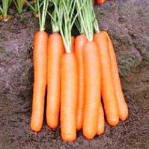 Семена моркови Монанта (50 г) Rijk Zwaan