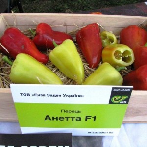 Анетта F1 (500 сем.) семена перца сладкого Enza Zaden