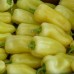 Семена перца сладкого Диментио F1 (500 сем.) Syngenta
