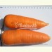 Семена моркови Шантане (500 г) Clause