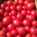 Сагатан F1 (1000 нас.) насіння томату Syngenta