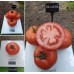 Адріатика F1 (500 нас.) насіння томату Sakata
