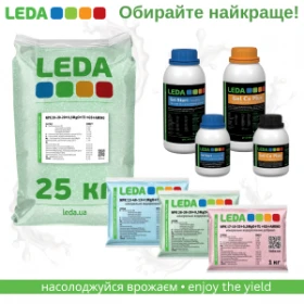 Баннер LEDA