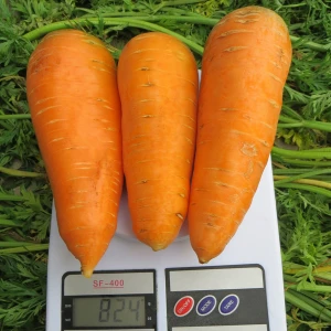 Болтекс (500 г) yасіння моркви Clause