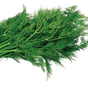 Амброзия (100 г) семена укропа Satimex