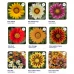 Газания Кисс F1/ Kiss F1 (100 сем.) семена цветов Syngenta Flowers