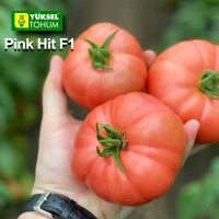 Пинк Хит F1 (500 сем.) семена томата Yuksel Seeds Пинк Хит F1 (500 сем.) семена томата Yuksel Seeds