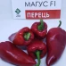 Магус F1 (250 сем.) семена перца сладкого ZKI