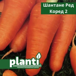 Шантане Ред Коред 2 (250 г) насіння моркви Bakker Brothers