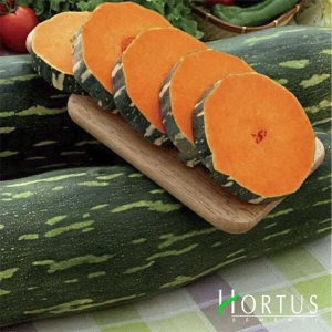 Лунга Пиена ди Наполи (10 г) семена тыквы Hortus