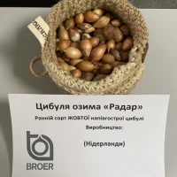 Радар (Radar) лук севок, 1 кг