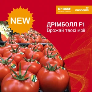 Дрімболл F1 (500 нас.) насіння томату Nunhems