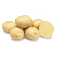 Рів'єра 2,5 кг насіннєва картопля (1 репродукція)