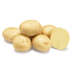 Ривьера 2,5 кг семенной картофель (1 репродукция)