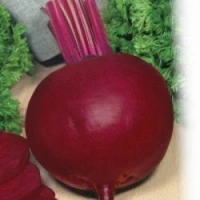 Красный шар, (100 г) семена свеклы столовой Satimex