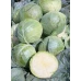 Компас F1 (10 г) семена капусты б/к Takii Seeds