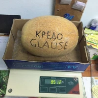Кредо F1 (1000 сем.) семена дыни Clause